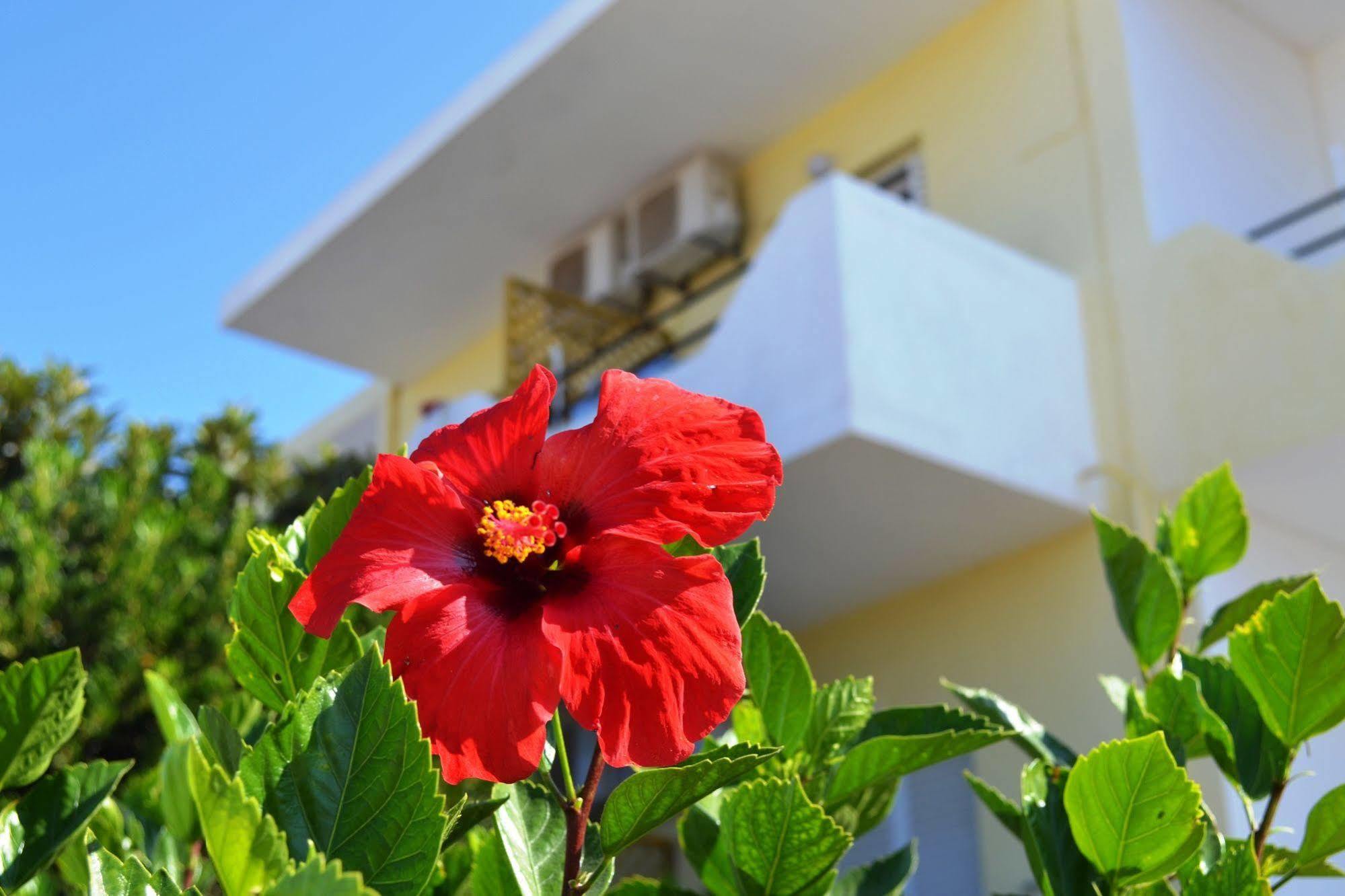 Yiannis Apartments Mastichari  Exterior photo